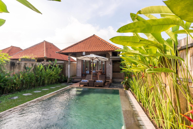 Swimming Pool 14