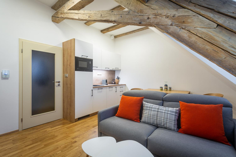 Others 5, U Pivovaru - Apartments Bozi Dar, Karlovy Vary