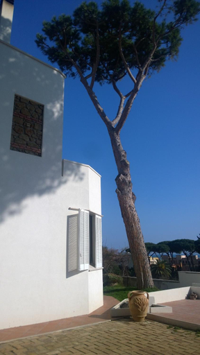 Others 4, BUBA BnB SUPERIOR, Roma