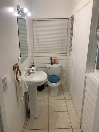 Bathroom 2, Lenny's Southy Hostel, Pinellas