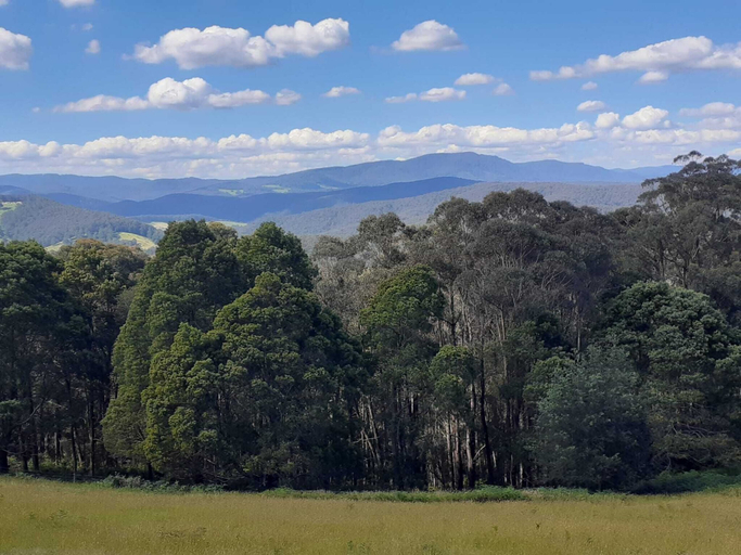 Others 5, Near and Far Nature Stay, Baw Baw - Pt B West