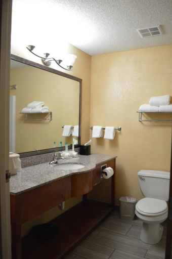 Bathroom 3, First Choice Inns, Grand