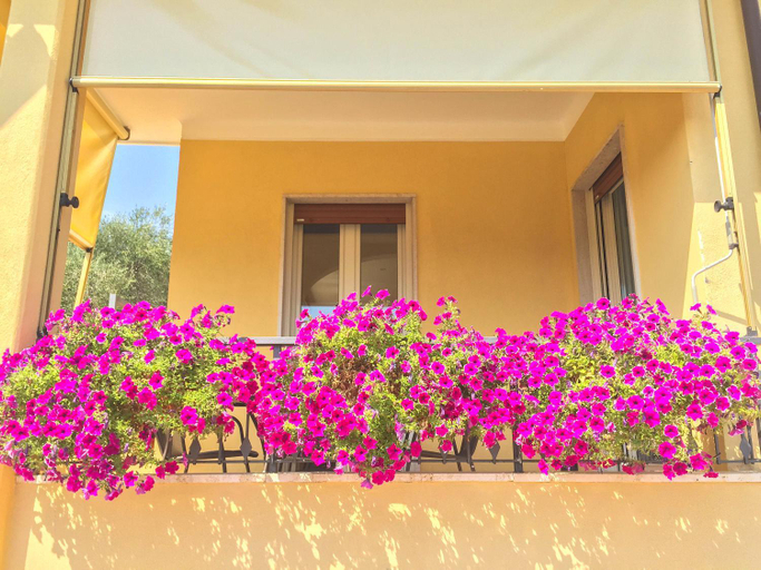 Exterior & Views 1, Appartamenti Villa il Poggiolo, Imperia