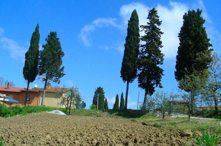Agriturismo Menchetti, Arezzo