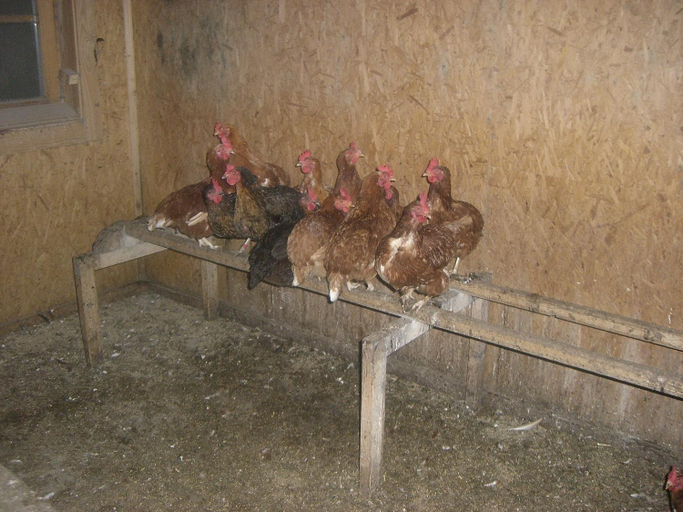 Others 4, Vorderstockerhof, Kitzbühel