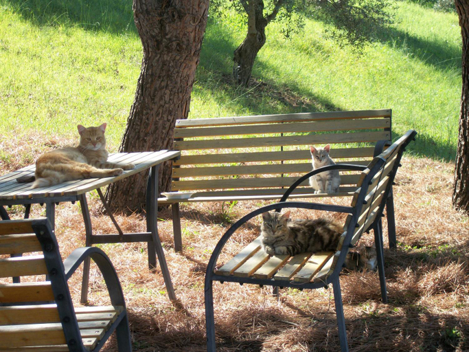 Others 2, Le Poiane B&B Vacanze, Messina