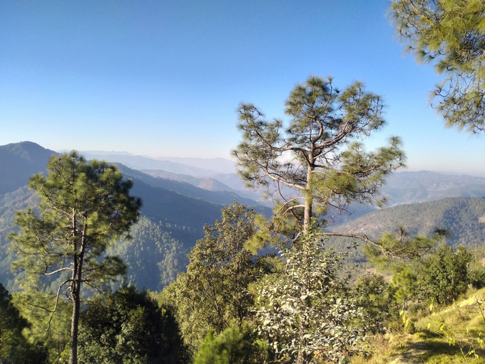 Others 5, Binsar View Homestay, Almora