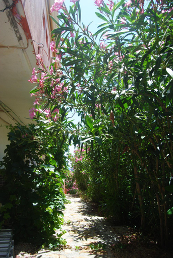 Others 2, Maria Rooms, North Aegean