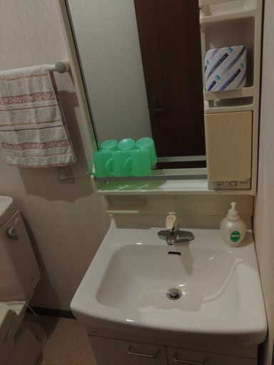 Bathroom 4, Yumeno Onsen, Kami