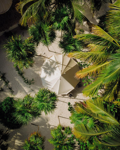 Others 3, Hotel Cielo y Selva, Cozumel