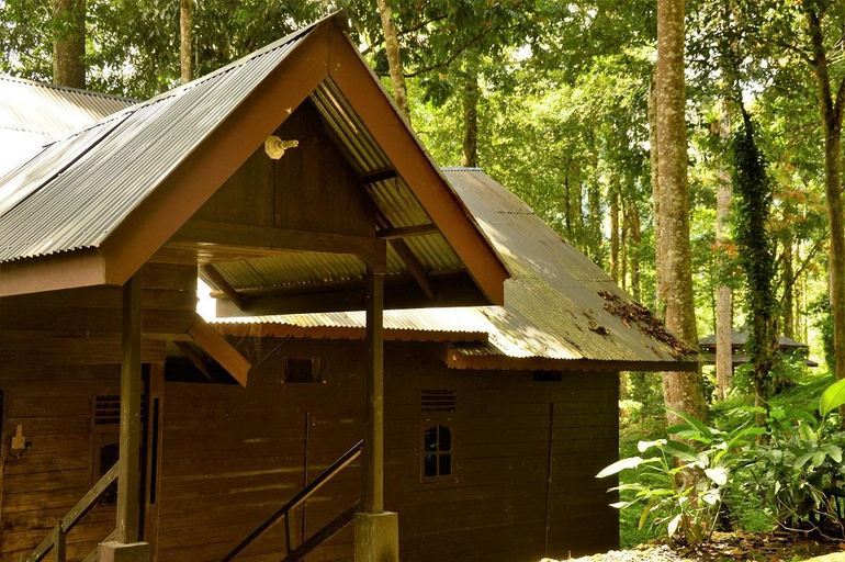 Exterior & Views 2, Double Bed 8 @ Leuser Ketambe Guesthouse, Southeast Aceh