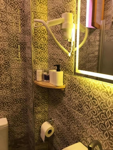 Bathroom 5, Green Mansion, Fatih