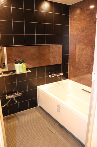 Bathroom 5, HOTEL BAYGULLS, Tajiri