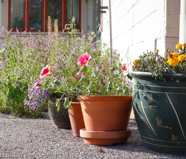 Others 5, Borrgarden Hostel, Ljusdal