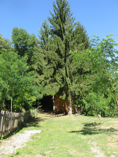Others 4, La Cabane aux Sapins, Drôme