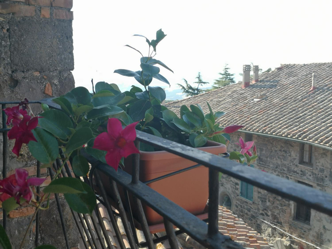 Others 4, Gioia, Siena