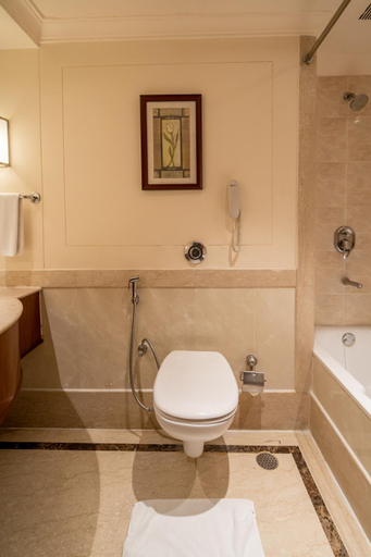 Bathroom 5, The Accord Metropolitan Hotel, Chennai