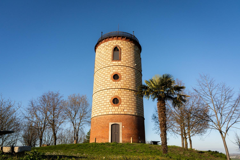 Torre Veglio, Alessandria