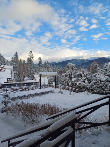 Others 4, Apartamente Private Near the Castle, Sinaia