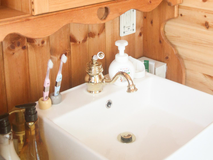Bathroom 2, Shima Log, Miyakojima