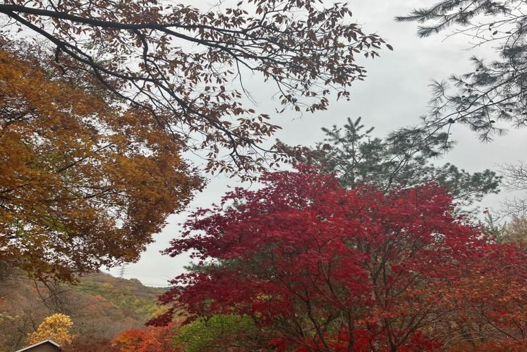 2, Yangpyeong Jongjagol Mountain Naeum Pension, Yangpyeong
