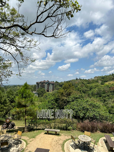 Scenery 10