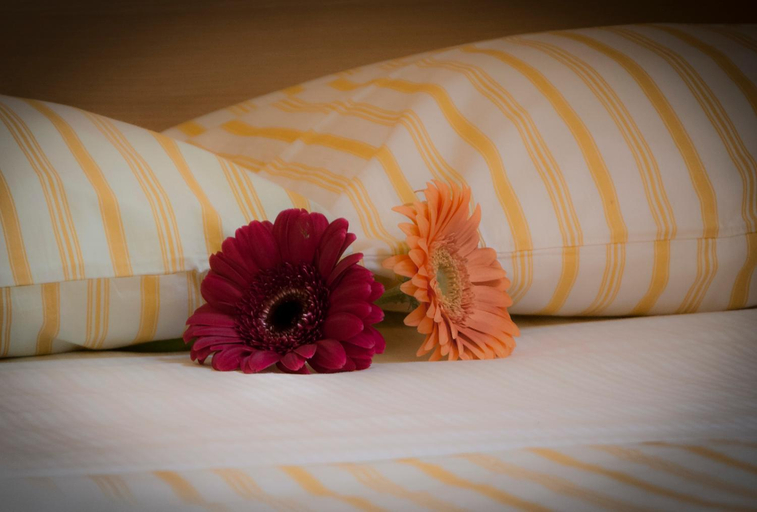 Bedroom 2, On The Rainbow BnB, Roma