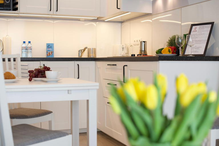 Others 4, Kraków Apartments - Solna Studio, Kraków City
