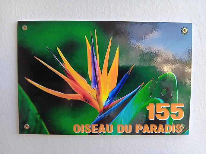 Others 4, Oiseau du paradis, La Trinité