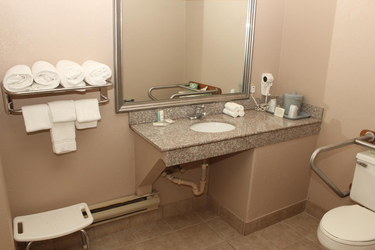 Bathroom 4, Quality Inn, Niagara