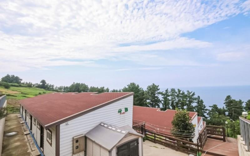 4, Ulleungdo StaySomething, Ulleung