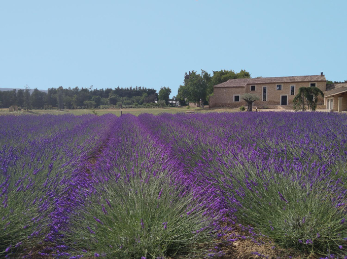 Others 4, Mas Des Fugueyrolles, Vaucluse