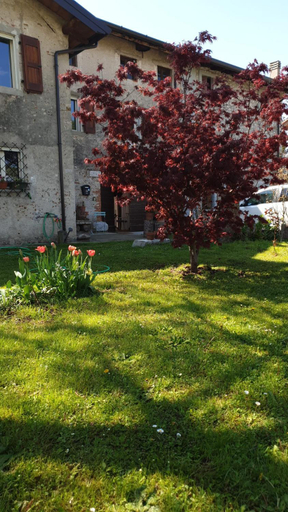 Others 2, B&B Karin - Rooms & Breakfast, Udine