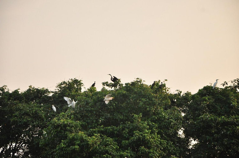 Others 5, Backwater Breeze Homestay, Kottayam
