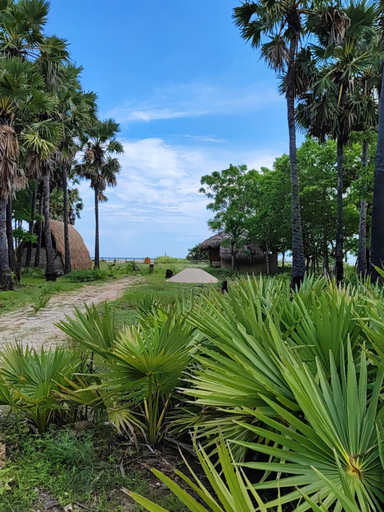 Others 5, WAJONATA ECO RESORT, East Sumba