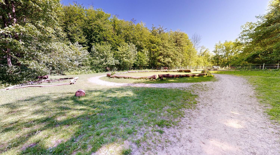 Others 5, Reiterpension Marlie, Ostholstein