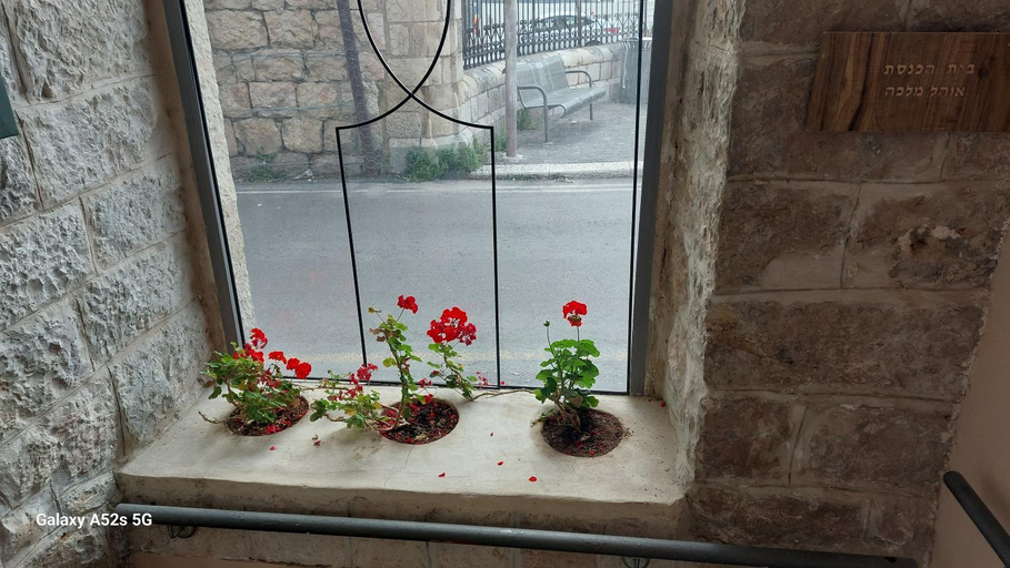 Others 5, heleni malka hotel