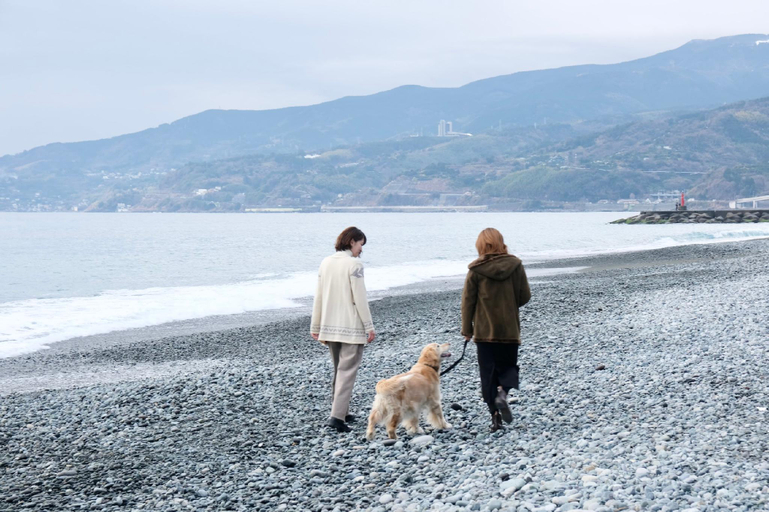 Others 2, Inutoumibe, Odawara
