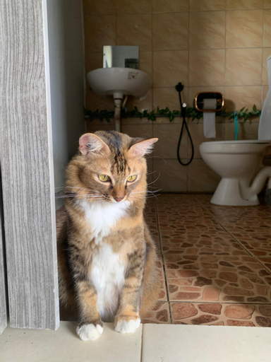 Bathroom 7