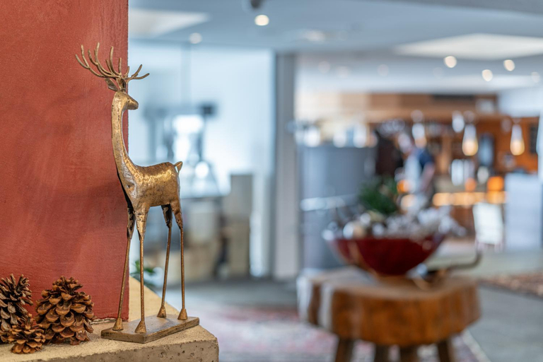 Public Area, Hotel Hochsolden, Imst