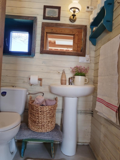 Bathroom 3, Small Apartment in Breb s Cosy Barn, Ocna Sugatag