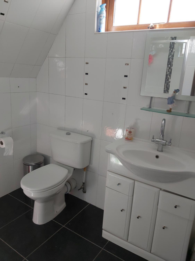Bathroom, Drumhirk House, North Down and Ards