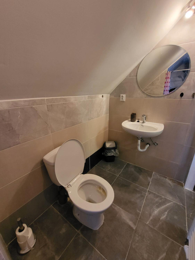 Bathroom 4, HORSKY PENZION U SPLAVU, Jablonec nad Nisou