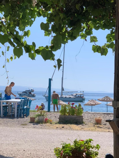 Others 2, Olive Ranch Guest House, Ayvacık