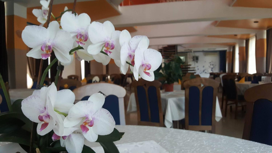 Food & Drinks 4, Motel Blue River Calimanesti, Calimanesti
