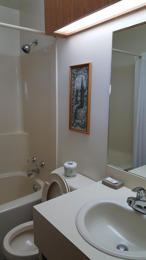 Bathroom 3, Pines Motel, Division No. 14