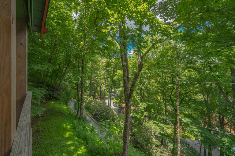 Others 5, Swiss Mountain Village, Watauga