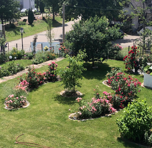 Others 5, Ferienwohnung Sudpfalz mit Balkon & Weinbergblick - Valley SUW, Südliche Weinstraße