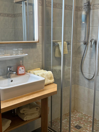 Bathroom, Hotel am Spreebogen, Spree-Neiße