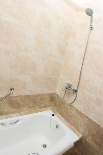 Others 5, Guide Hotel, Ulan Bator